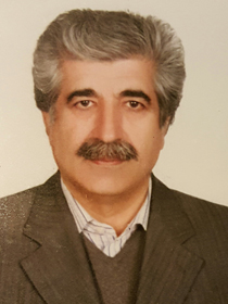 Reza KAMİ